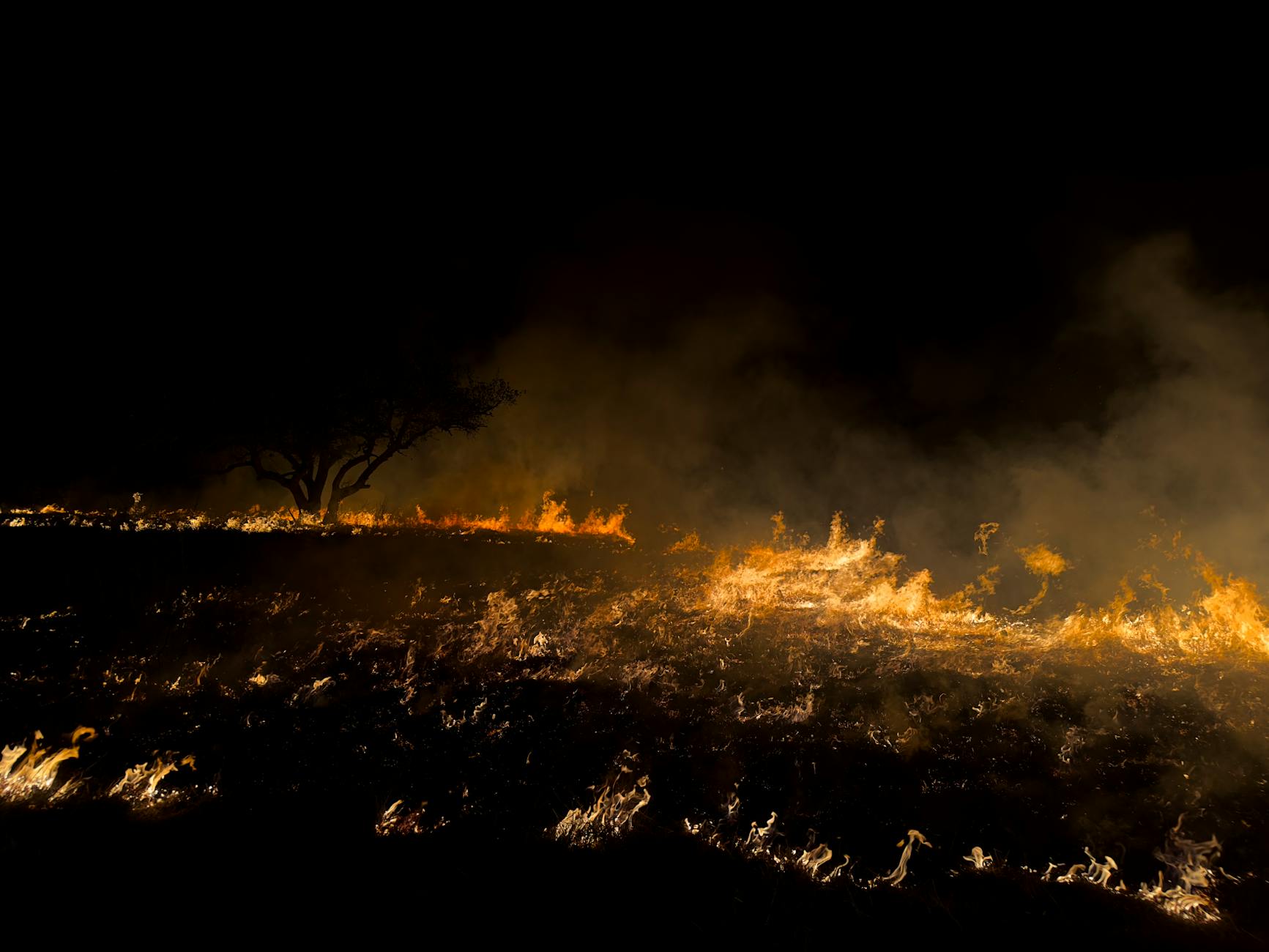 A dramatic field fire captured in Texas, highlighting environmental impact and natural destruction.